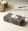 Gilded Hive Tissue Box 
