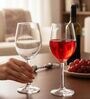 Gin 600 ml Wine Glass Set of 4 from Brazil | Large Crystal Red & White Wine Glasses for Home, Bar, Parties | Elegant Stemware for Cabernet, Pinot Noir, Chardonnay & More