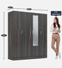 Gingham 4 Door Wardrobe In Wenge Finish Colour with Mirror