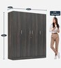 Gingham 4 Door Wardrobe In Wenge Finish Colour