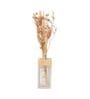 Giovvani Dried Floral with White Musk Aromatic Diffuser