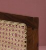 Dusk Fabric Arm Chair In Champagne Colour
