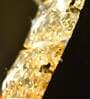 Giulia Crystal Led Smart Voice Assist Chandelier