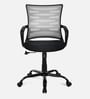 Giza Plus Mid Back Breathable Mesh Ergonomic Chair In Black Colour