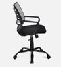 Giza Plus Mid Back Breathable Mesh Ergonomic Chair In Black Colour