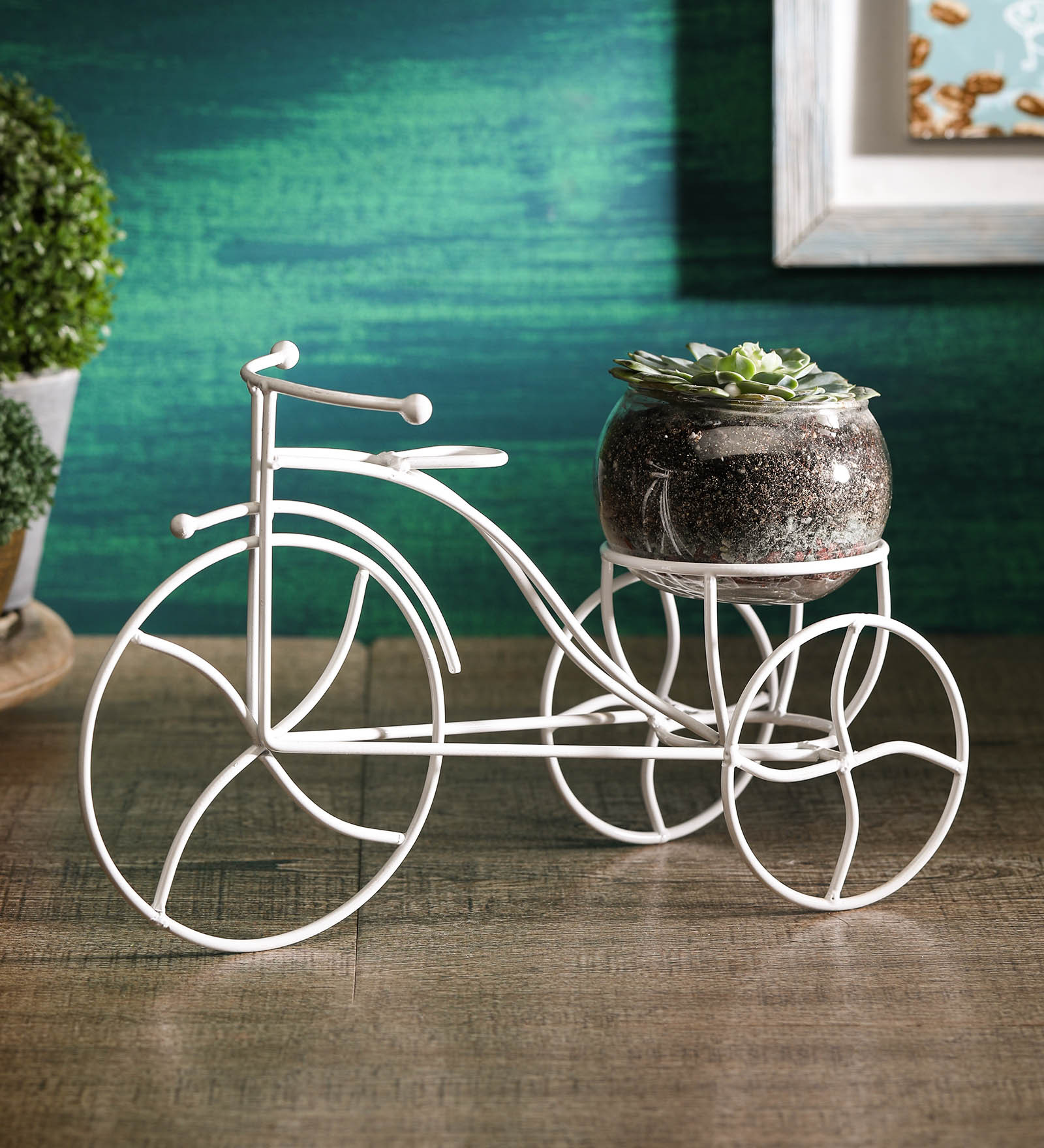 Glass Clear Smooth finish Oval shaped Terrarium