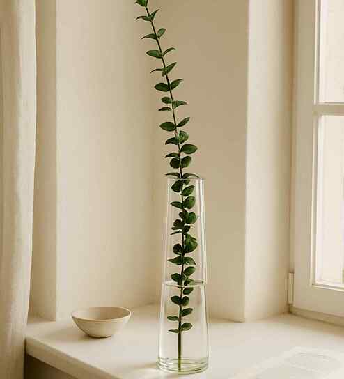 Transparent Glass Flower Vase