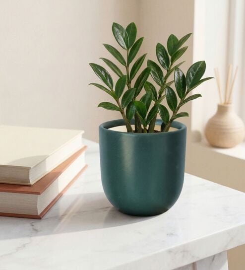 Dark Green Ceramic Glaze Planter