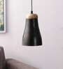 Glade Black Metal Single Hanging Lights