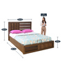 Gladiator King Size Bed With Hydraulic Storage in Brown Colour