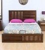Gladiator King Size Bed With Hydraulic Storage in Brown Colour