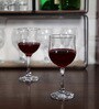 Tulip Stemware 240ml (Set of 6) Wine Glass