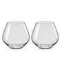 Glass 440ml (Set of 2) Everyday Glasses