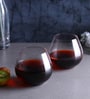 Glass 440ml (Set of 2) Everyday Glasses