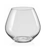 Glass 440ml (Set of 2) Everyday Glasses