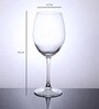 Enoteca 615ml (Set of 2) Wine Glass