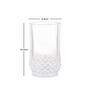 Glass Long Champ HB Tumbler Set (Set of 12 pcs)