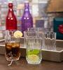 Glass Long Champ HB Tumbler Set (Set of 6 pcs)