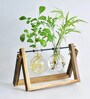 Glass Planter Glass & Wood Planter