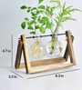 Glass Planter Glass & Wood Planter