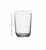 Glass Veneto Tumbler (Set of 12pcs)