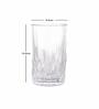 Glass Volvic HB Tumbler Set (Set of12 pcs)