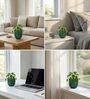 Dark Green Ceramic Glaze Planter
