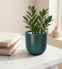 Dark Green Ceramic Glaze Planter