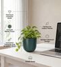 Dark Green Ceramic Glaze Planter