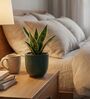 Dark Green Ceramic Glaze Planter