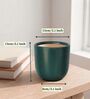 Dark Green Ceramic Glaze Planter