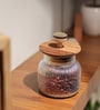 Gleam Glass Jar with Acacia Wood Lid & Resin Knob