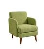 Glider Arm Chair In Green Colour