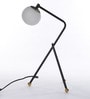 Globe White Glass Shade Table Lamp with Black Base
