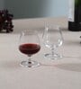 Globo Transparent Glass 245ml (Set of 6) Cognac Wine Glasses