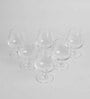 Globo Transparent Glass 245ml (Set of 6) Cognac Wine Glasses