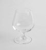 Globo Transparent Glass 245ml (Set of 6) Cognac Wine Glasses