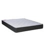Gloria Elite 72X48X6 Inch Double Bed Mattress