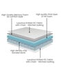 Gloria Elite 72X48X6 Inch Double Bed Mattress