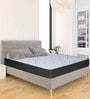 Gloria Elite 78X66X8 Inch Double Bed Mattress