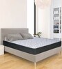 Gloria Elite 6 inch Rebonded Foam Single Mattress