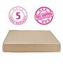 Gloria Green 72X48X6 Inch Double Bed Mattress