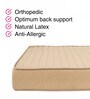 Gloria Green 72X48X8 Inch Double Bed Mattress