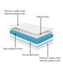 Gloria Green 72X48X8 Inch Double Bed Mattress