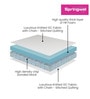 Gloria HR Foam & Bonded Foam King Size 6" Thick Mattress