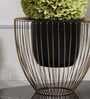 Gloria Riga Black & Gold Metal Planter Gloria Riga Black & Gold Metal Planter