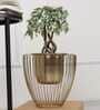 Gloria Riga Gold Metal Planter