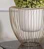 Gloria Riga White & Gold Metal Planter (Large) Gloria Riga White & Gold Metal Planter (Large)