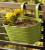 Glossy Grass Green Galvanized Iron Handpainted Railing Planter