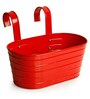 Glossy Red Galvanized Iron Handpainted Railing Planter